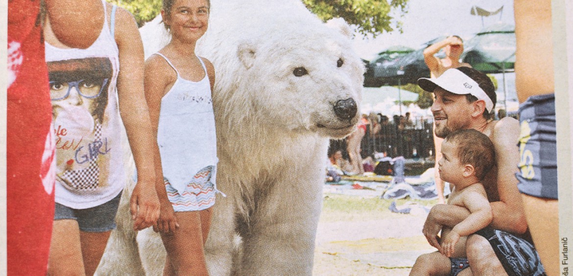 greenpeace