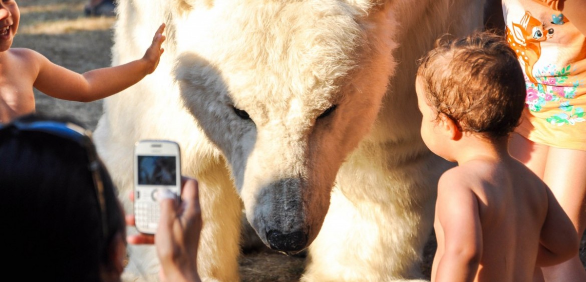 Greenpeace Save the Arctic